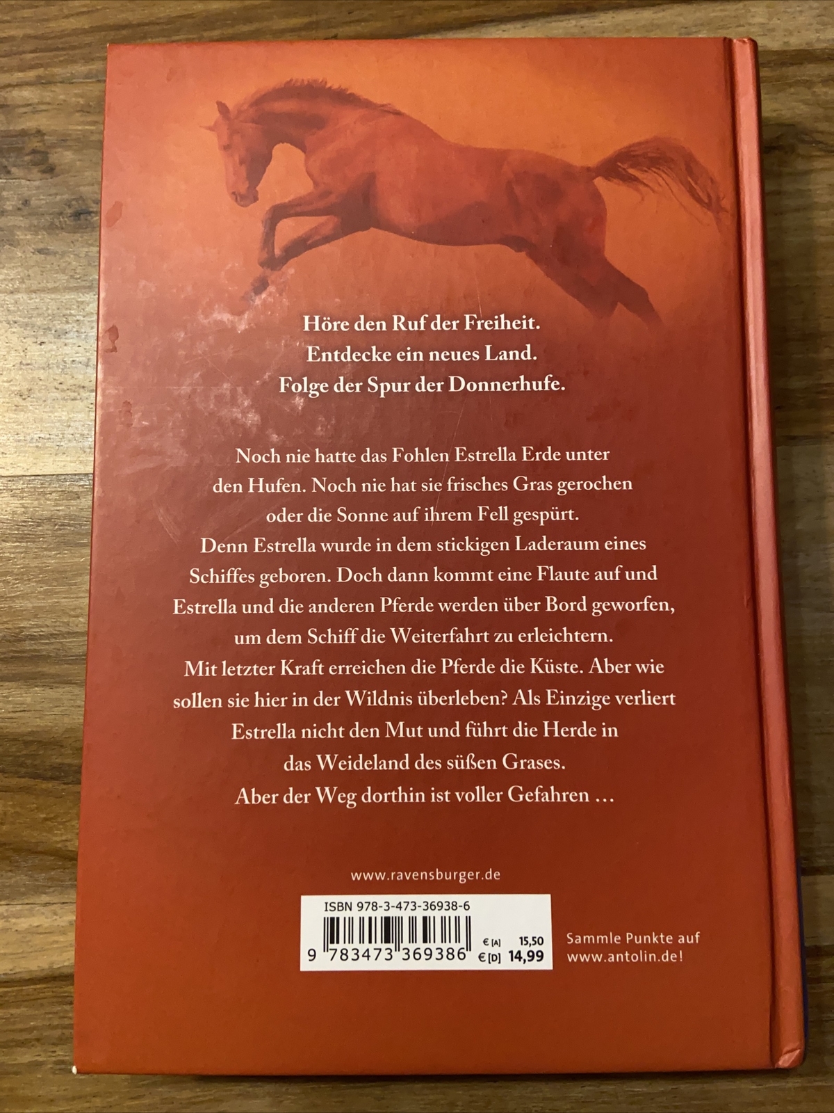 Thumbnail - Die Spur Der Donnerhufe 1: Flammenschlucht Von Lask... | Buch |