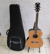 Eko Acoustic Guitar Nxt018 In Hard Case