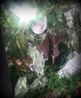 Bild 3 von 11
