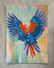 oil paintings for wall decoration  red Macaw