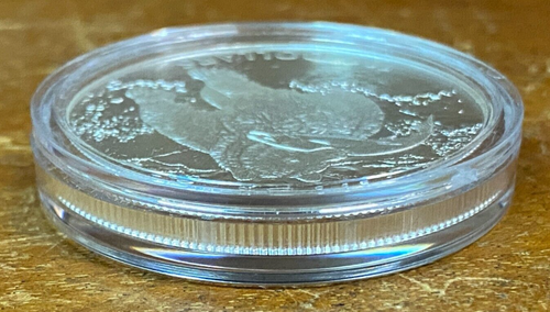 Lovely 2014 Solitary Titan The Grizzly Canada $100 Fine Silver Coin SU856 - Picture 5 of 17