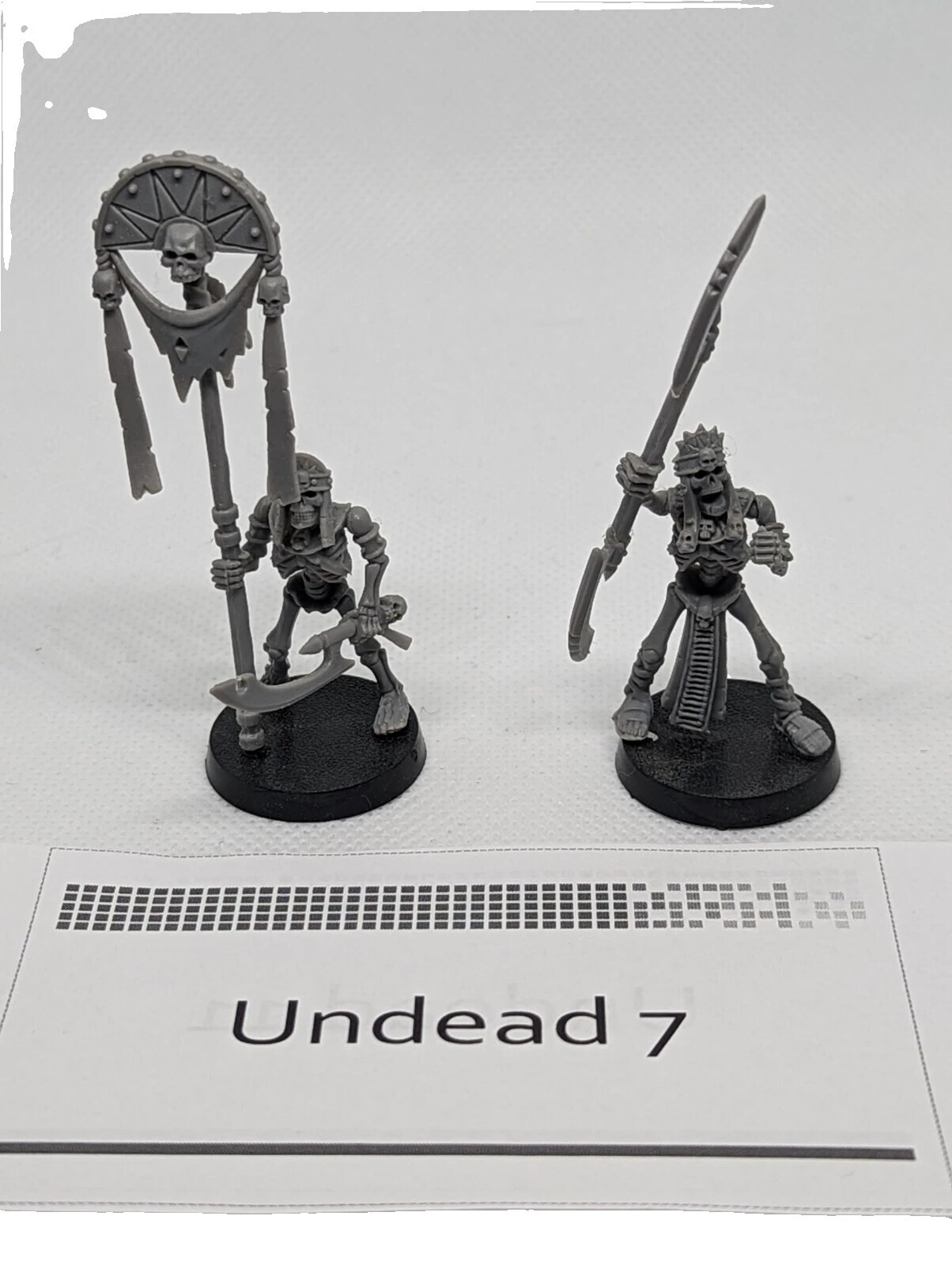 Tomb Kings Warhammer Fantasy Chaos Unit