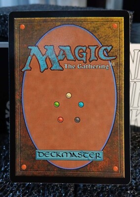 MTG 森 α PSA8 MTG 森 α PSA8 MTG 森 α PSA8 MTG 森 α PSA8 MTG 森 α PSA8 Forest