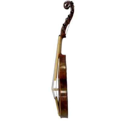 Master Maple wood 7×7 string Viola d'Amore 15