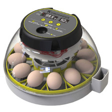 12 Egg Incubator with Humidity Display, Egg Candler, Automatic Egg Turner, for H