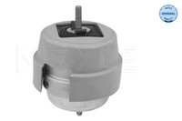 Meyle 100 199 0192 Motorlager FüR Audi Seat
