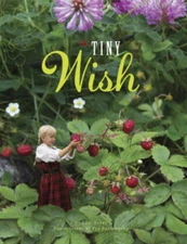 The Tiny Wish - Hardcover By Evert, Lori - ACCEPTABLE
