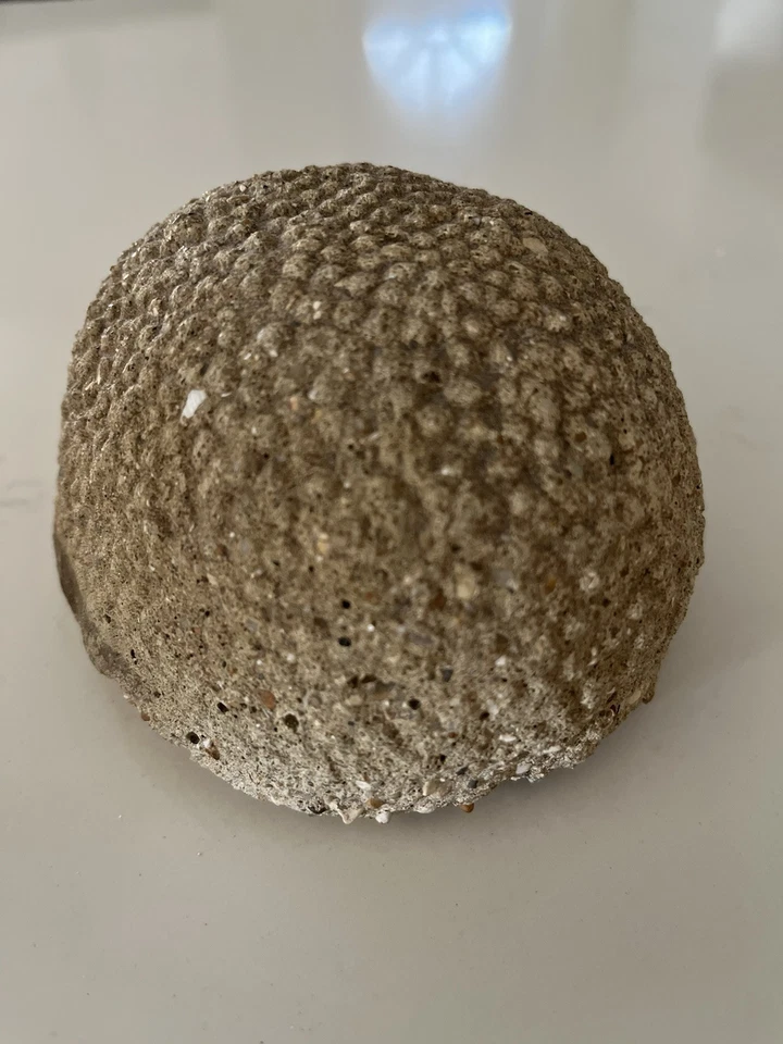 Старый каменный еж в отличном состоянии! - Изображение 4 из 4