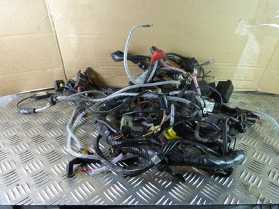 Triumph Sprint ST 955 2004 wiring loom | eBay