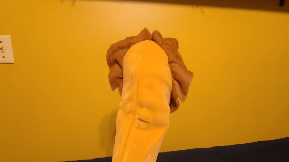 RARO NOB "Rory El Pequeño León" Asma Boxset, Marioneta León, VHS-Bebé Einstein Foto 4 de 4