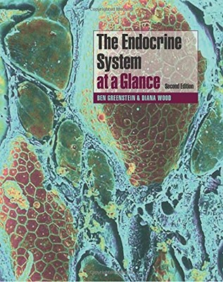 The Endocrine System at a Glance by Wood, Diana Paperback Book The Fast Free