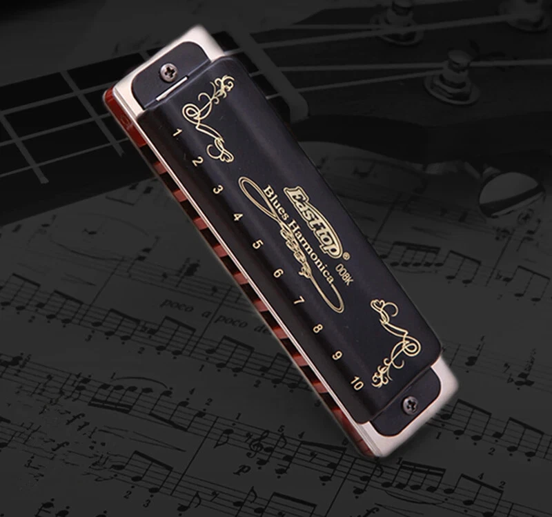 Harmonica Diatonic 10Holes Blues Harp 低 F /Paddy Mouth Ogan 乐器 — 第 4/4 张图片