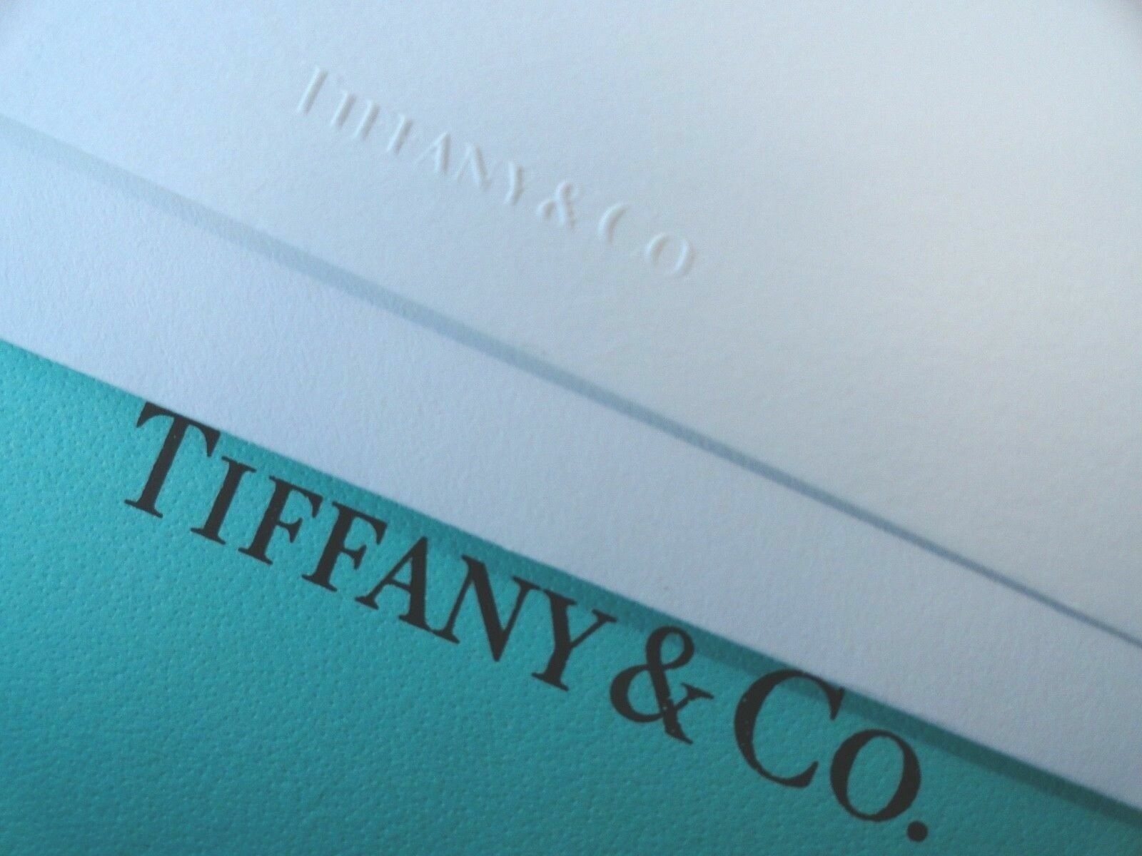 Tiffany & Co. Suede 4" x 3" Earring Gift Presentation Case & Blue Outer ...
