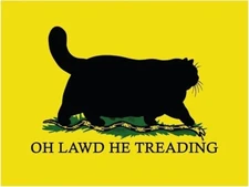 Don't Tread on Me, Funny Cat oh lawd he treadin' Vinyl Die Cut Sticker