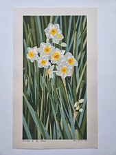 Masaki Yoshida Japanese Woodblock Print Flower #3