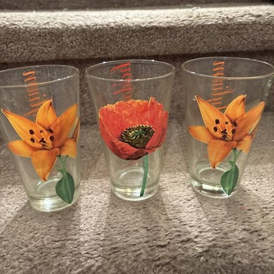 Lot Of 4 Cerve Italy Drinking Glasses Flower Pattern 5.5'' Ht Various Flowers