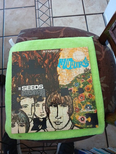 The Seeds Future lp Original 1967 GNP Crescendo Records GNP-2038 STEREO vinyl