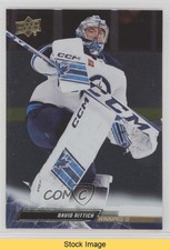 2022-23 Upper Deck Extended Series Silver Foil David Rittich #650 READ 1pu4