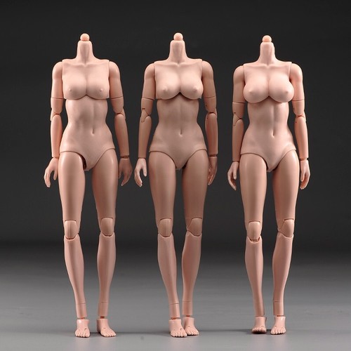 1/6 Suntan Skin Female Body Flexible Large Bust Action Figure Model Doll Body - Picture 4 of 24