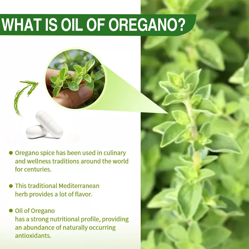Oregano Oil 4000mg per Serving Contains Carvacrol 120 Capsules by AmerDon