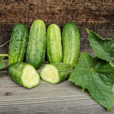 40 Heirloom Homemade Pickles Cucumber Seeds - NonGMO & Organic