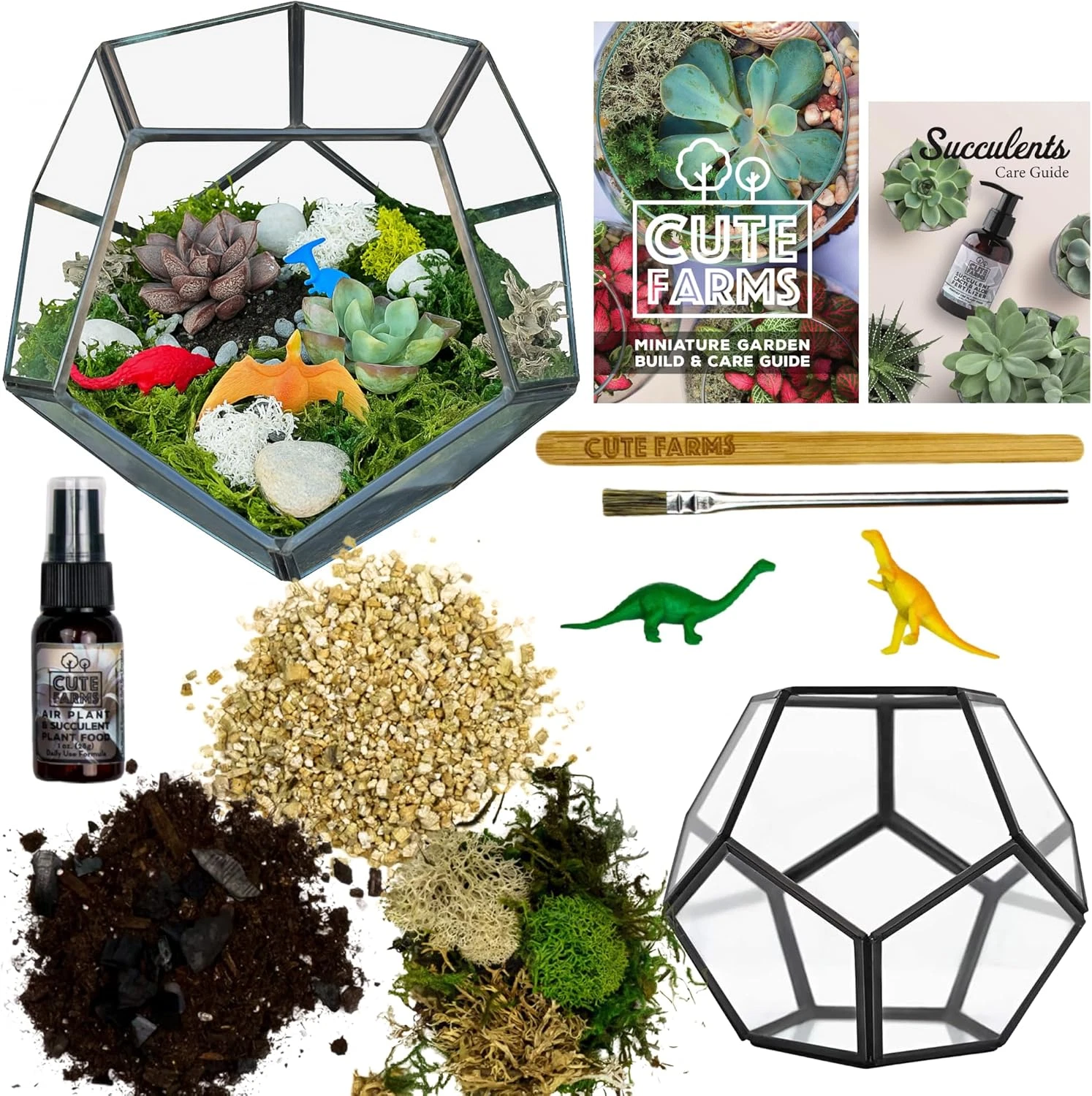 Glass Terrarium Kit | Just Add Your Own Plants (Geometric Glass)