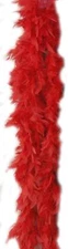 BOA Turkey Feather 55 gram Adult Womens Halloween Costume Accessory