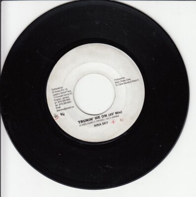 Nina Sky Featuring Baby Cham   Turnin' Me On (Jamaica) ++ used ++