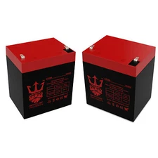 Neptune Power NT-1250 Replaces ENERSYS NP4-12 LEAD ACID BATTERY 12V 4AH (2 Pack)