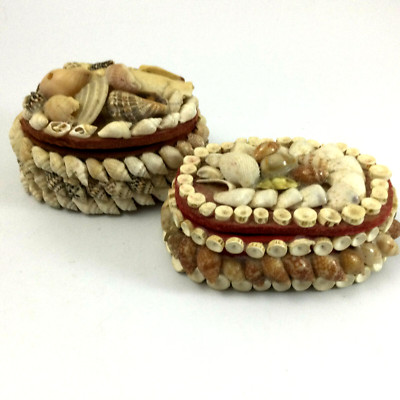 Sea Shell Small Trinket Boxes Set Of 2 Natural Beach Shells