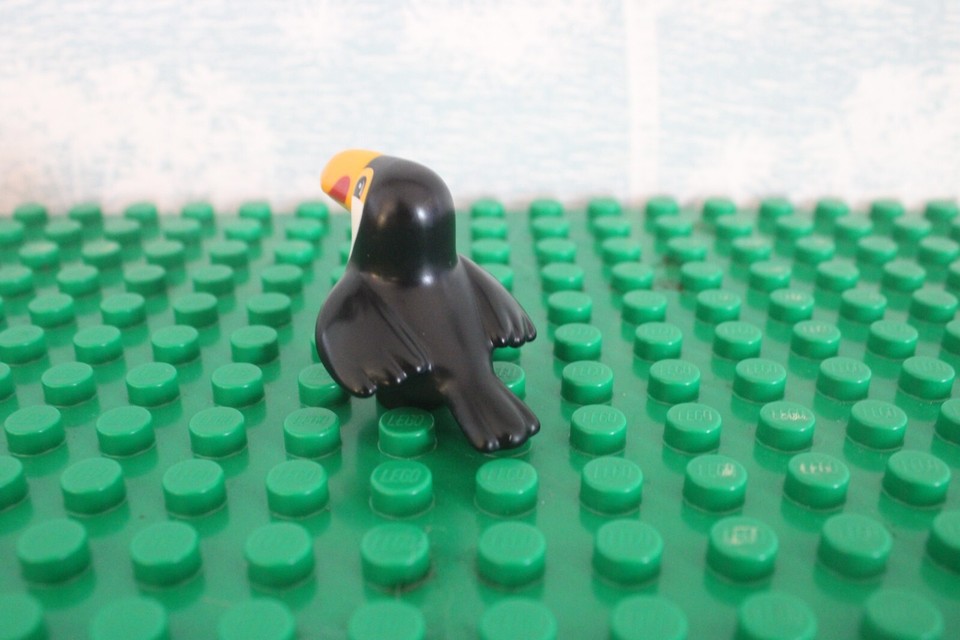 Duplo Bird Black Zoo Animal PARROT TOUCAN Rainforest Jungle | eBay