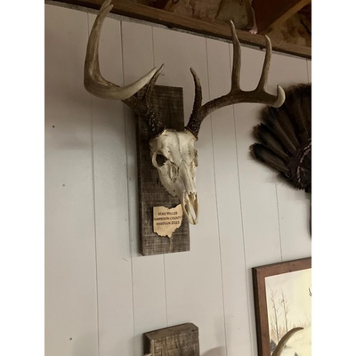 #ad #ad Barn Wood European Mount Wall Display Custom State Plaque Skull Hook Kiln Dried $44.99