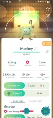 Shiny Mankey Pokemon Guaranteed Lucky From 2020 Registered Or 30 Days