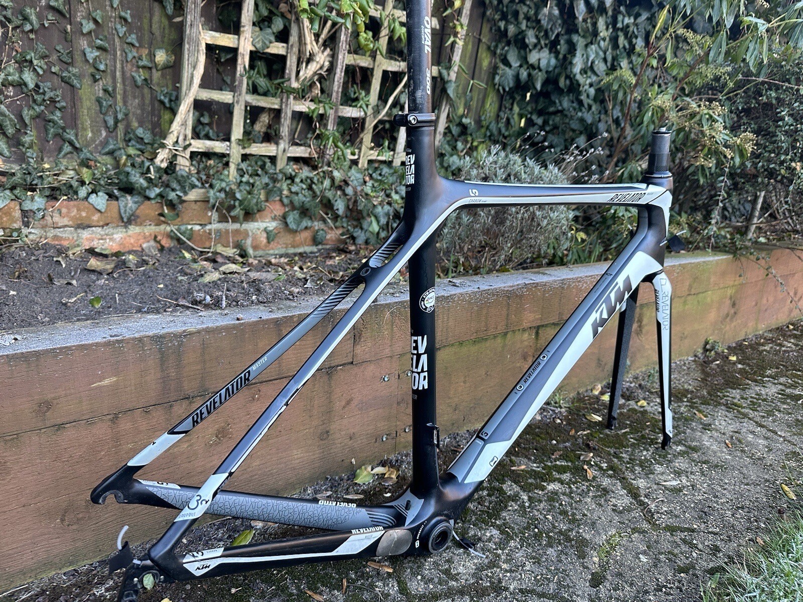 ktm revelator frameset