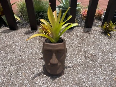 Garden Pots In Gold Coast Region Qld Pots Garden Beds Gumtree Australia Free Local Classifieds