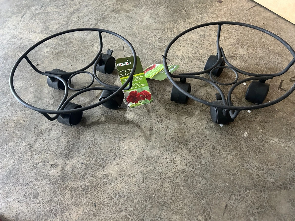 Gardan - Juego De Accesorios Para Esa De Pájaros : Aazon.es