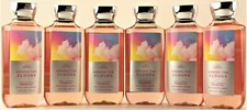 QTY 6 - Bath & Body Works AMONG THE CLOUDS Body Wash Shower Gel Shampoo 10oz