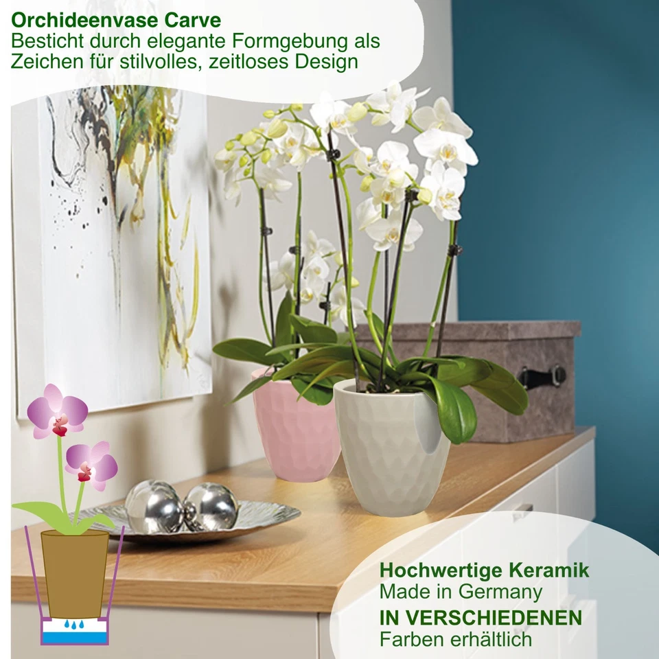 MePla - 2 Stück - Orchideenübertopf Carve + Pflanztopf - Bild 3 von 4