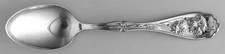 Oneida Silver Carnation  Youth Spoon 489899