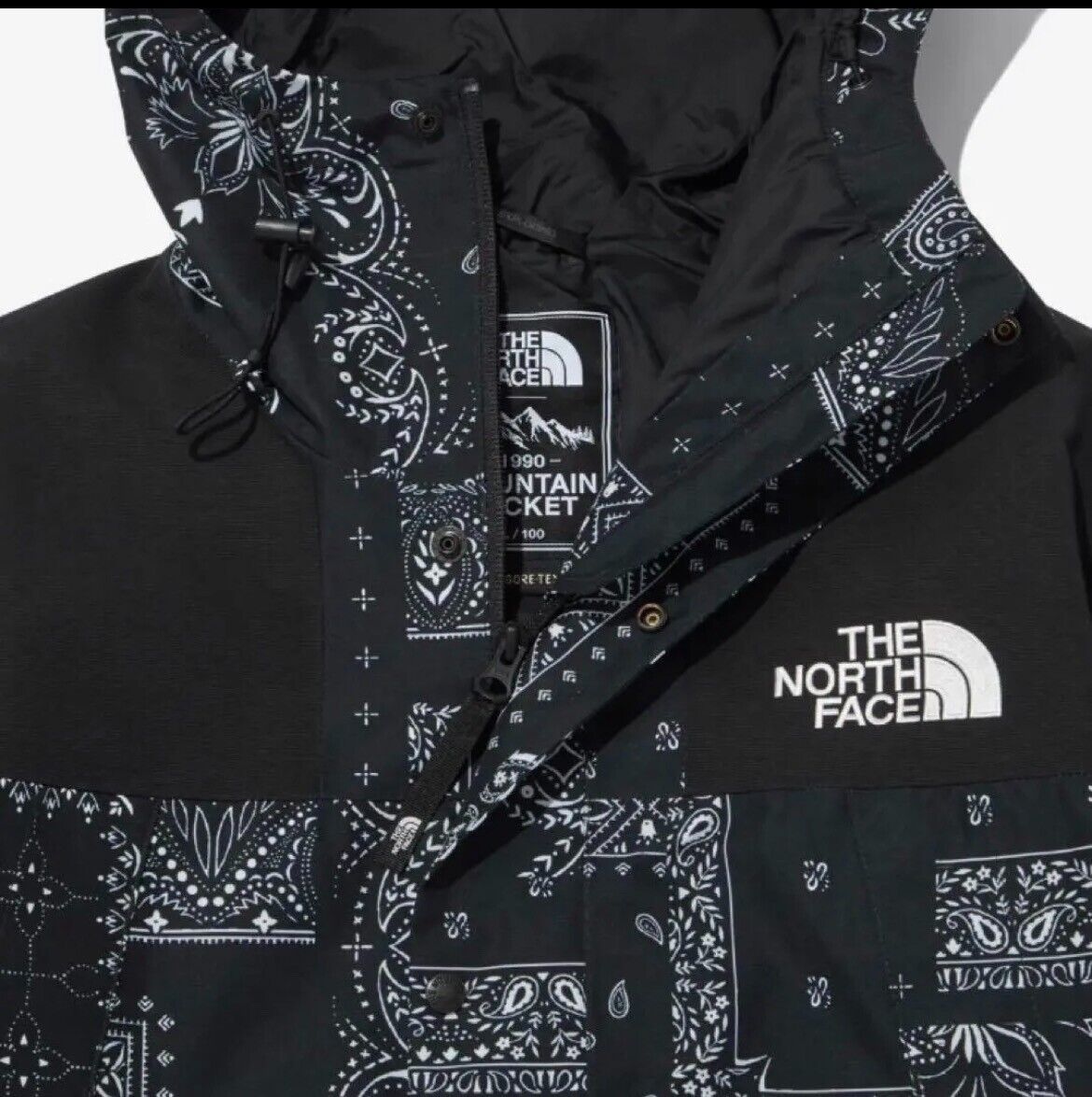 North Face White Label Paisley Gore Tex Mountain Jacket free shipping from  japan