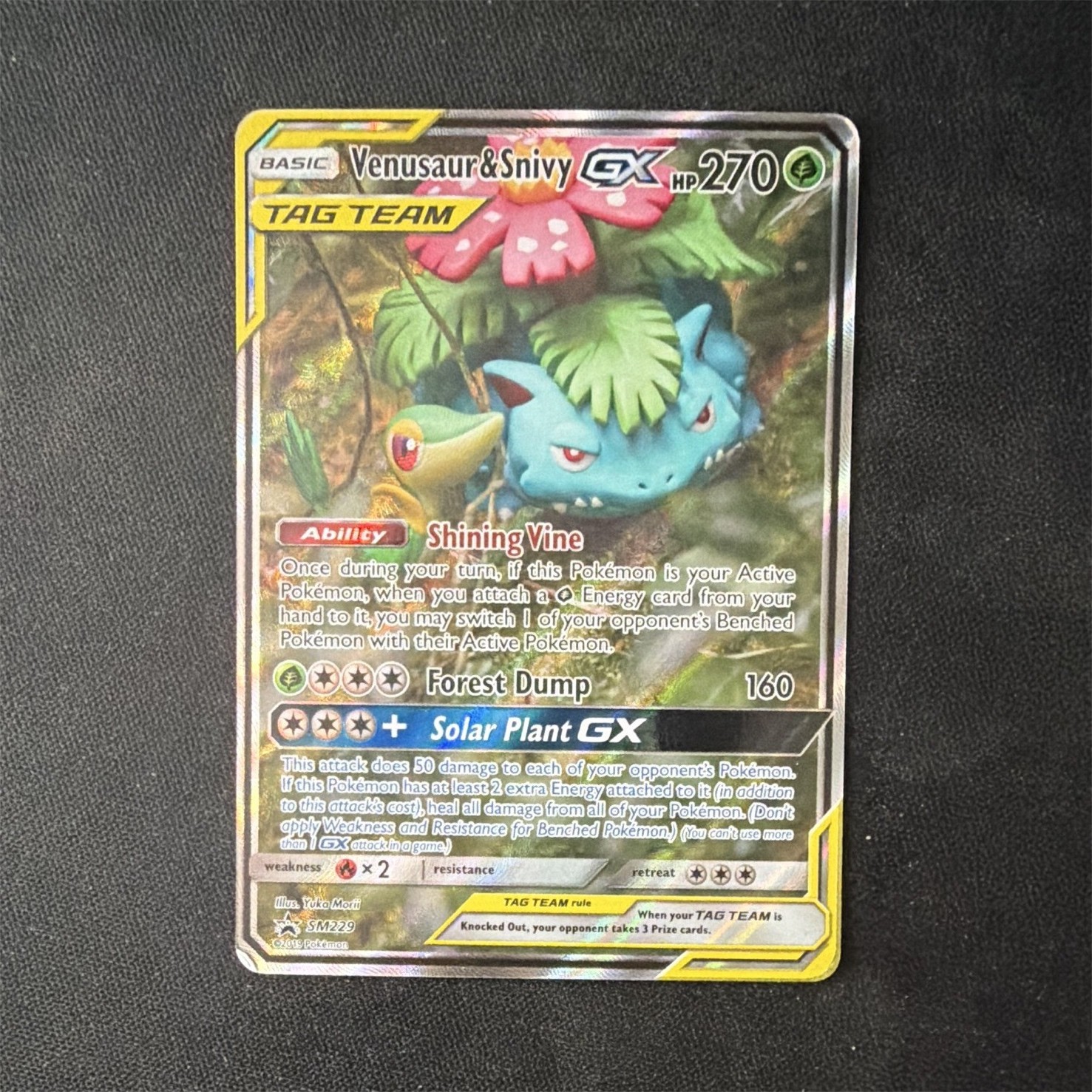 Venusaur & Snivy GX SM229 TAG TEAM Promo Holo 270 HP English Pokémon TCG