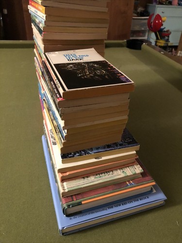 Vintage Lot Of 44 Youth Chapter Books Sweet Valley Twins Ramona Scholastic - Picture 10 of 12