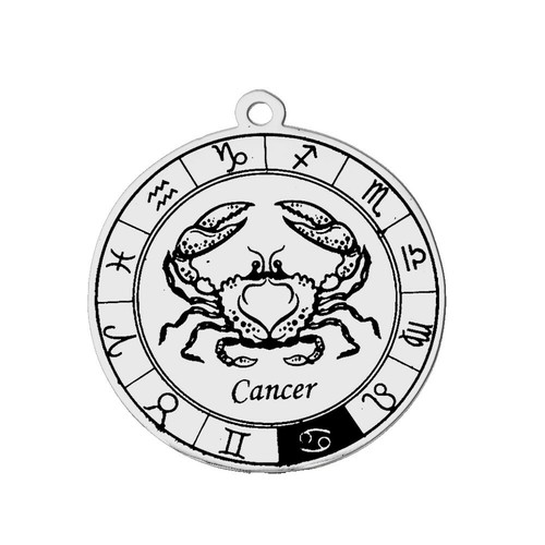 ZODIAQUE HOROSCOPE PORTE CLES ROND MODELE AU CHOIX - Imagen 16 de 24