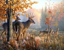 BUCK DEER WATCHING OVER DOES FALL AUTUMN WILDLIFE COMPUTER MOUSE PAD 9 X 7 GIFT
