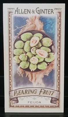 2022 Topps Allen & Ginter Mini Bearing Fruit #BF-8 Feijoa Insert Card 