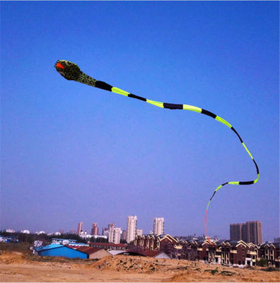 3D fly a kite 40meters large breeze Weifang Kite Kite Software snake