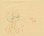 The Twelve Kingdoms Juuni Kokki Genga Douga Original Sketches Pierrot - Yuka — photo 5