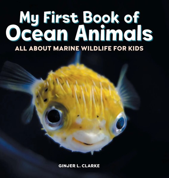 Ginjer Clarke | My First Book Of Ocean Animals | Buch | Englisch (2021)-image
