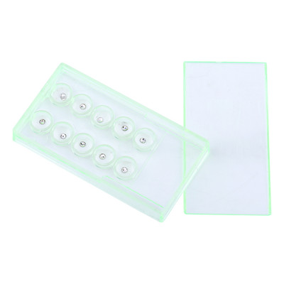 10x 2mm Dental Tooth Crystal Ornaments Teeth Jewelry Decoration White W/ Box SET