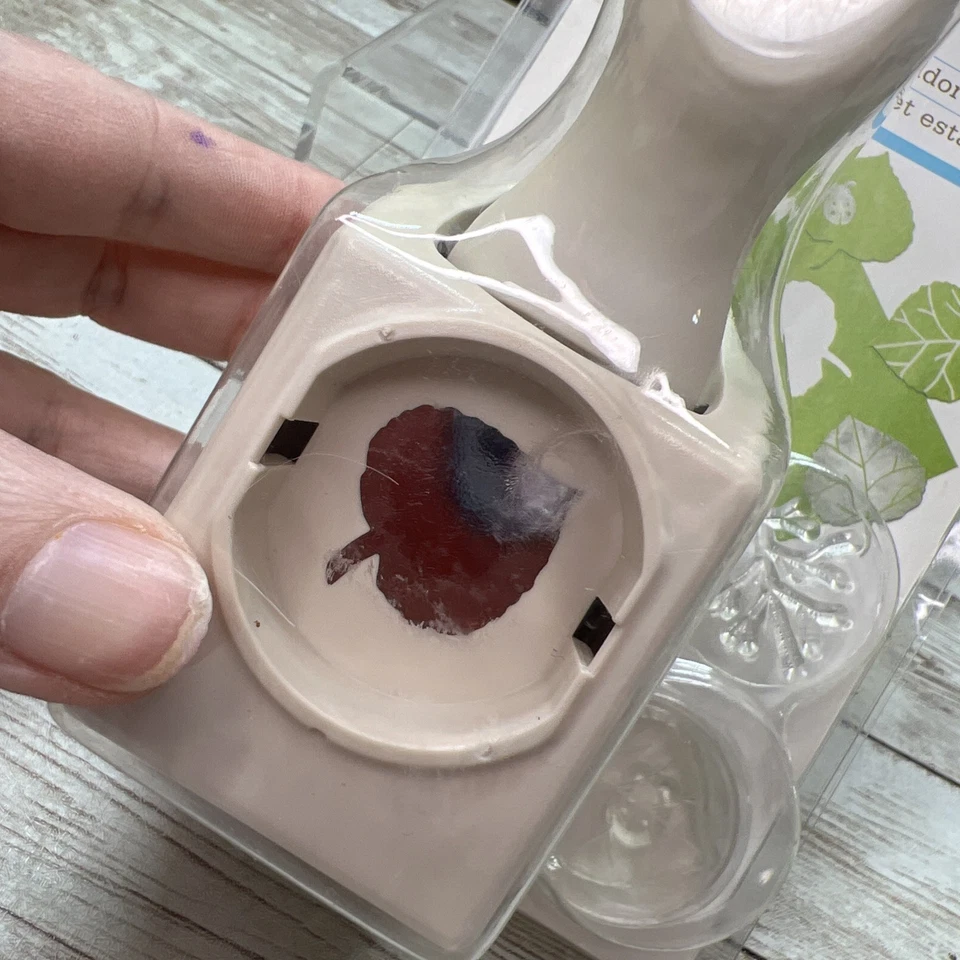 Martha Stewart Leaf Stamp & Punch Pack - Scrapbooking Papercrafts Card Making - image 2 of 4